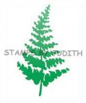 G-119 Solid Fern
